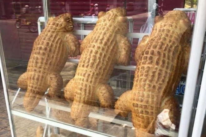 Giant crocodile-shaped bread 