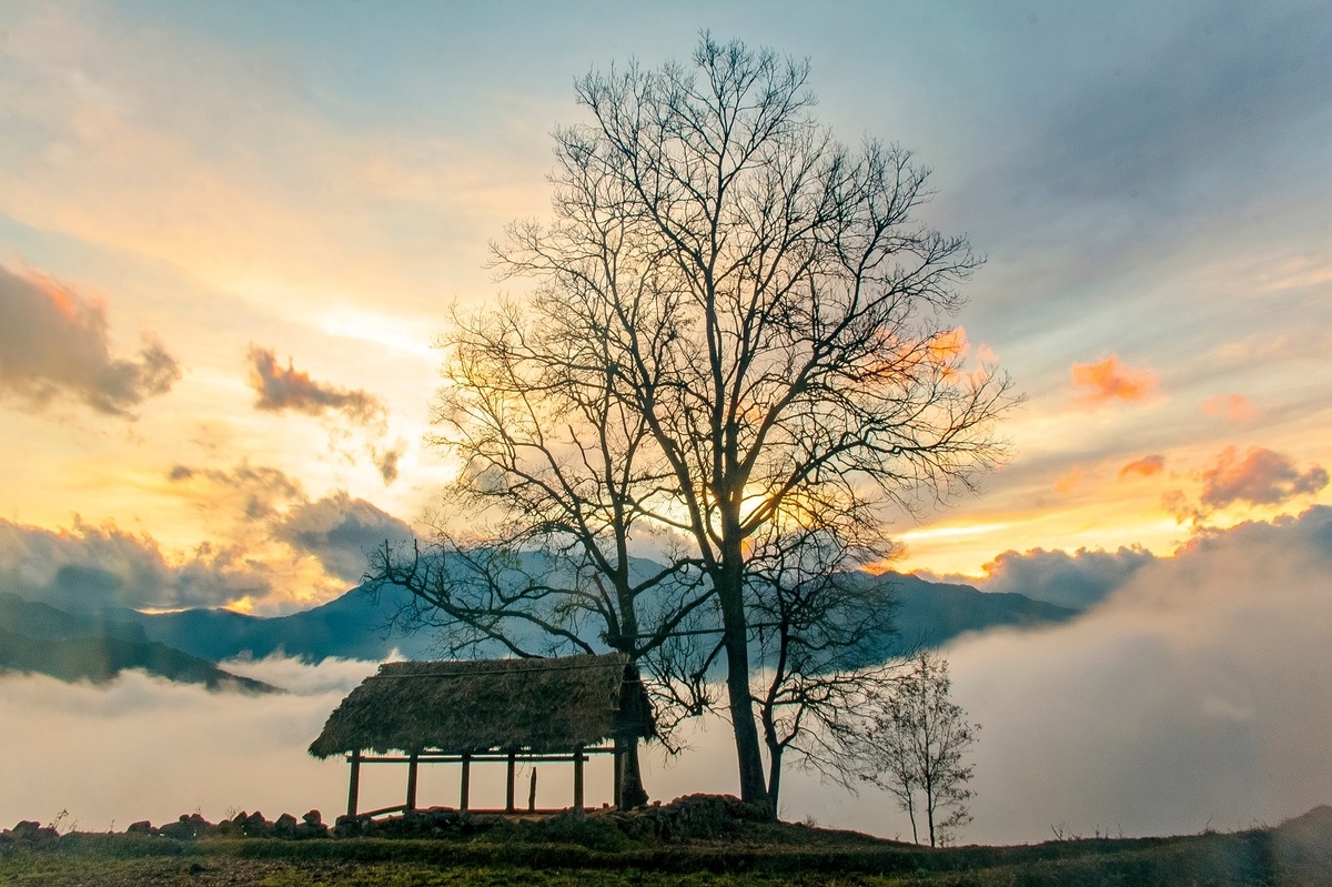 alluring seas of clouds in y ty commune northern vietnam