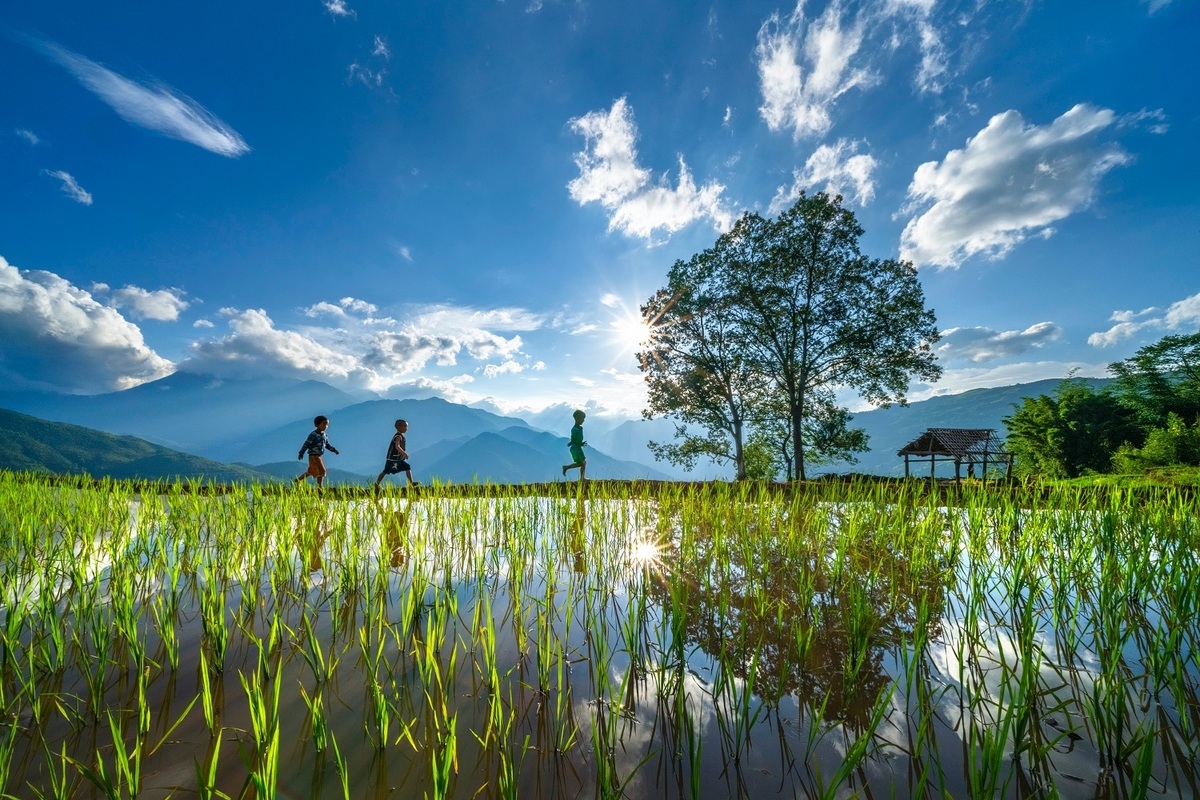 Alluring seas of clouds in Y Ty commune, northern Vietnam