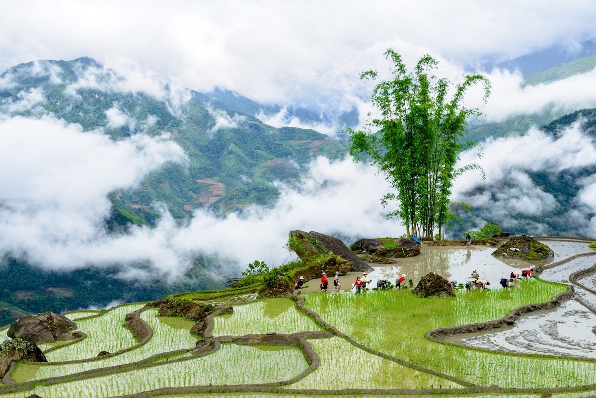 alluring seas of clouds in y ty commune northern vietnam