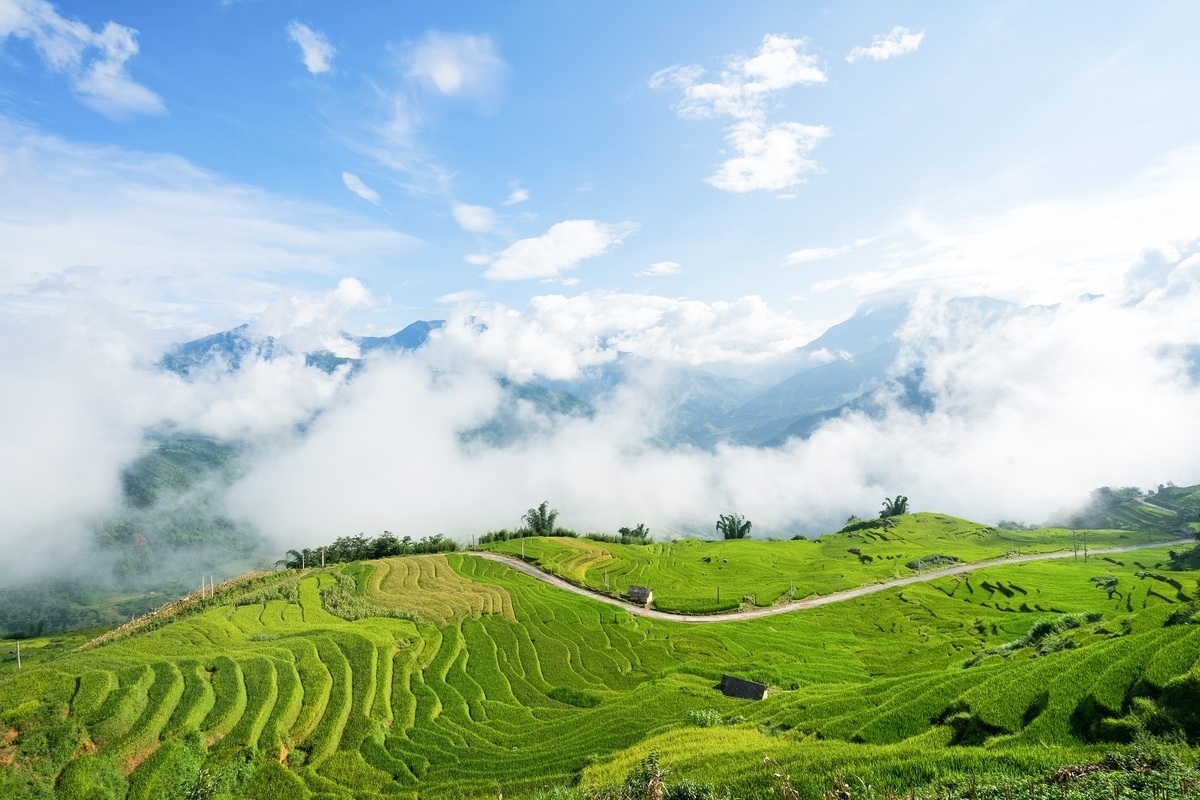 alluring seas of clouds in y ty commune northern vietnam