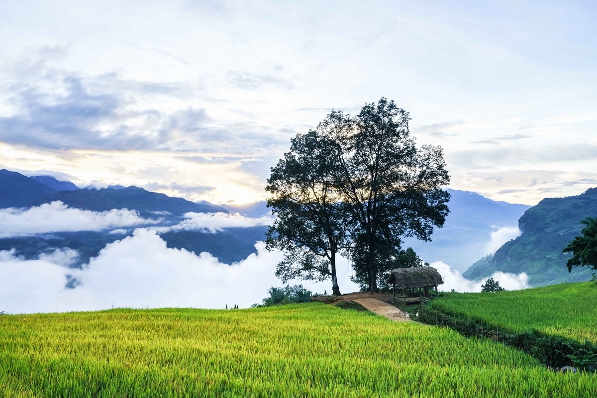 Alluring seas of clouds in Y Ty commune, northern Vietnam