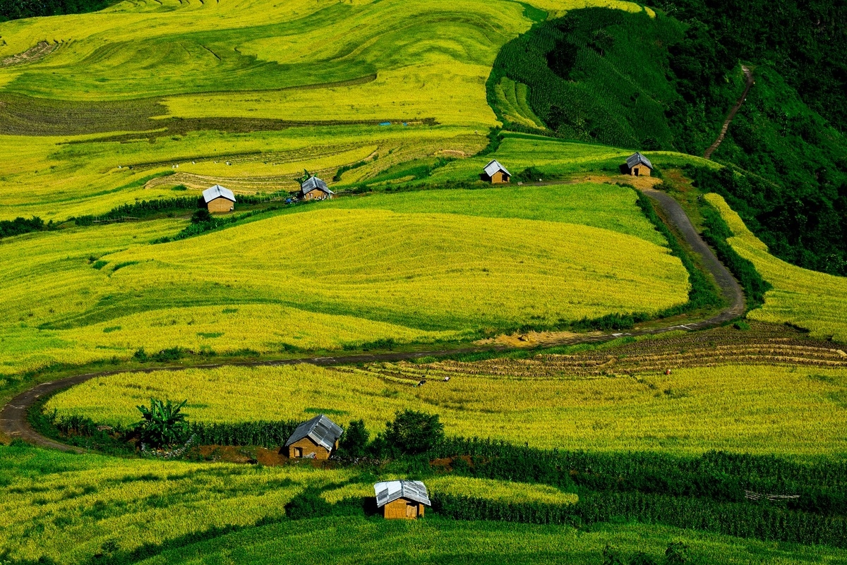 Alluring seas of clouds in Y Ty commune, northern Vietnam