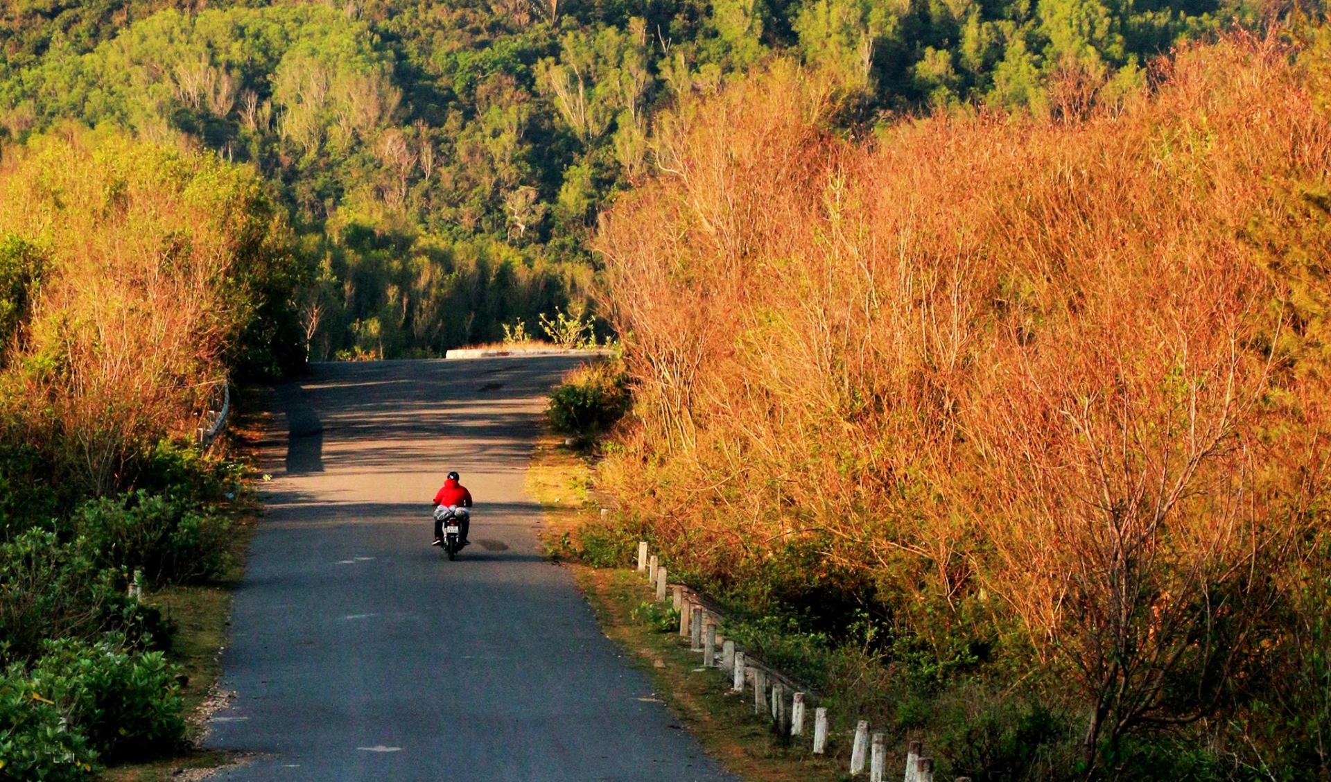 Wake up to the sunshine of Phu Yen