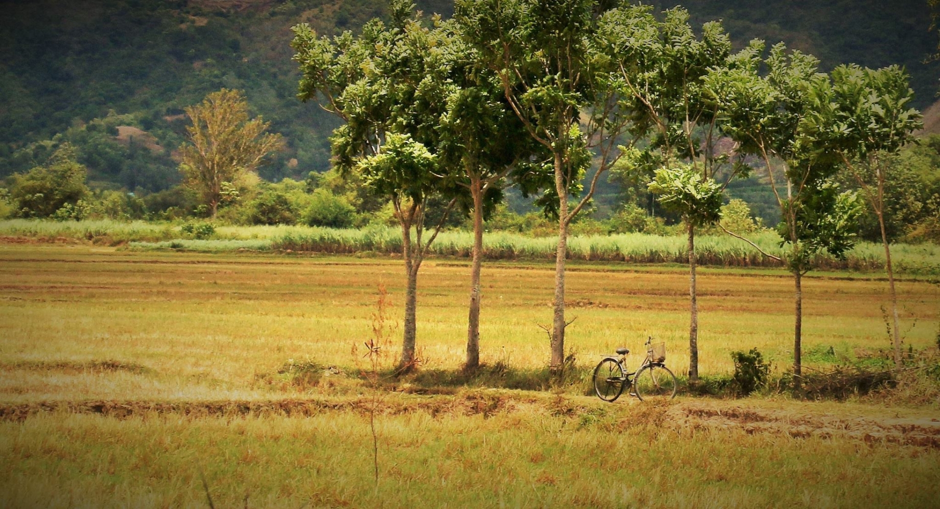 Wake up to the sunshine of Phu Yen