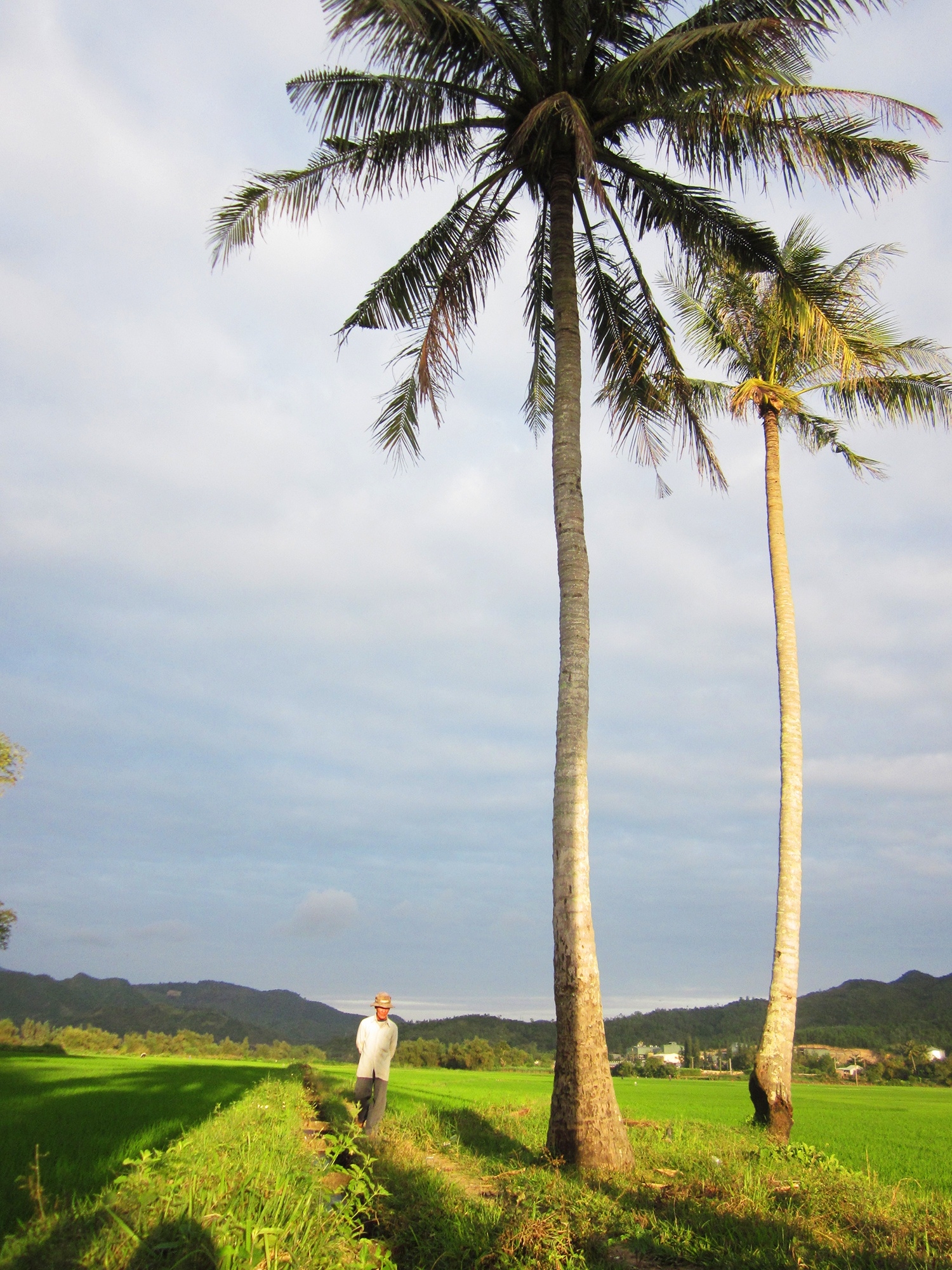 Wake up to the sunshine of Phu Yen