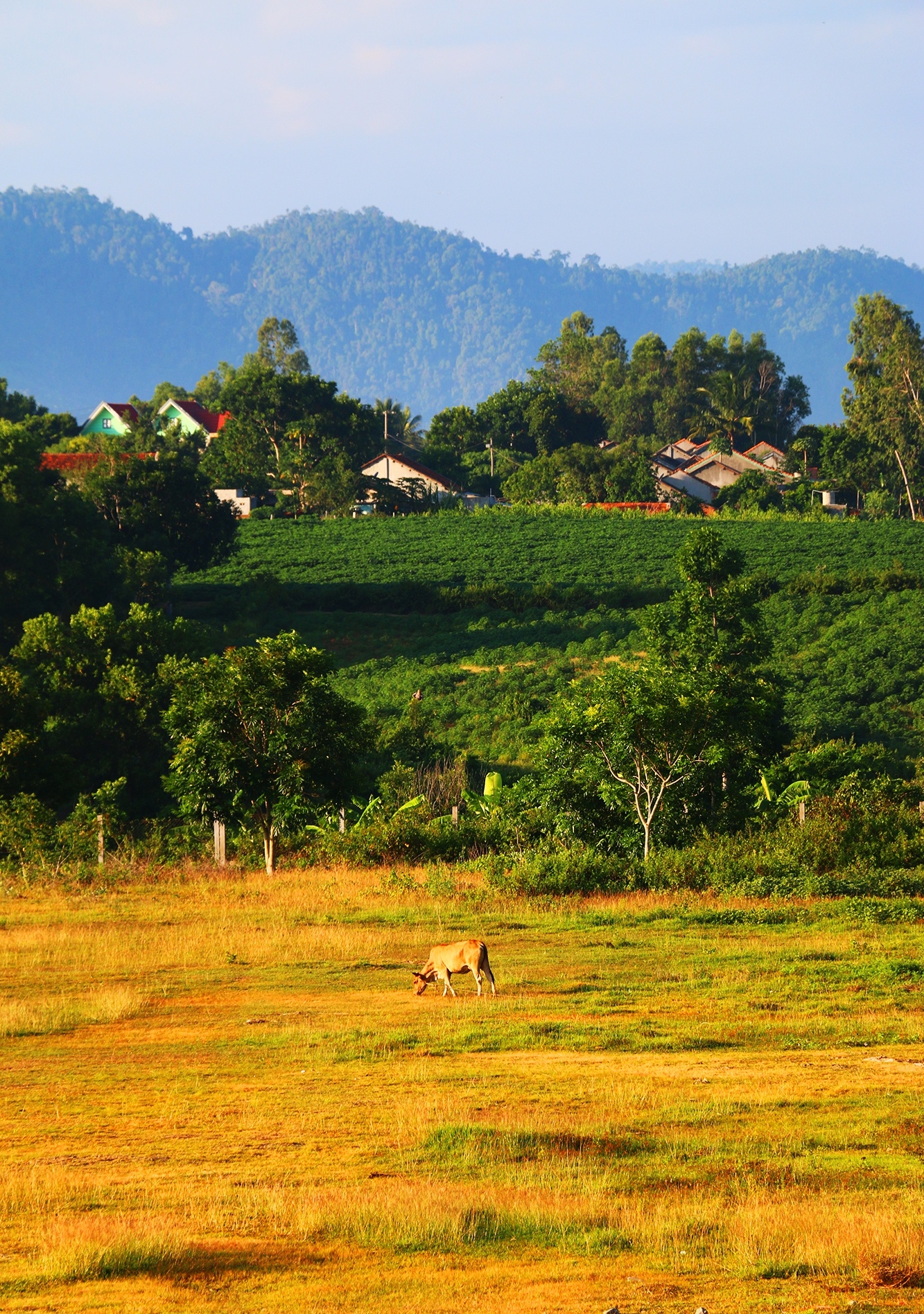 Wake up to the sunshine of Phu Yen