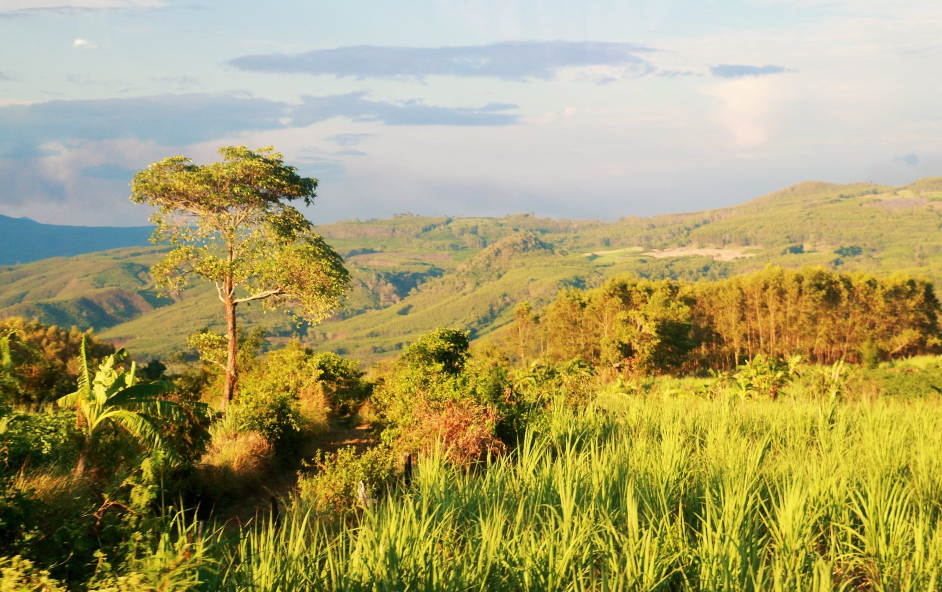 Wake up to the sunshine of Phu Yen