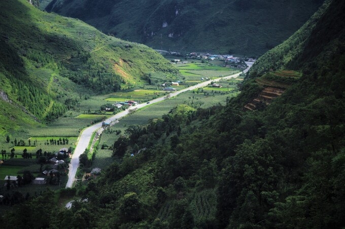 Green corn season on Dong Van rocky plateau