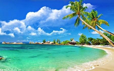 Top 7 Most Beautiful Islands in Vietnam