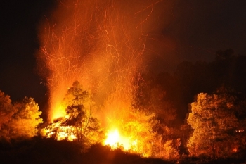 fire engulfs forests in nghe an ha tinh provinces