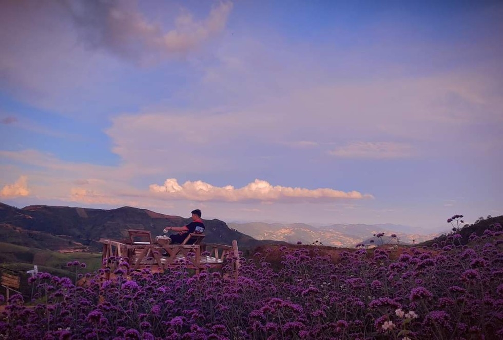 A man enjoying tea time in the middle of the flower pass 