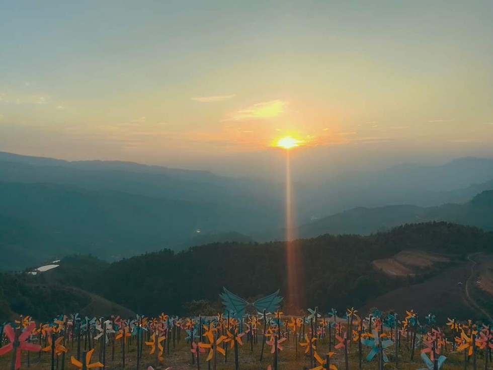 The pinwheel garden at sunrise