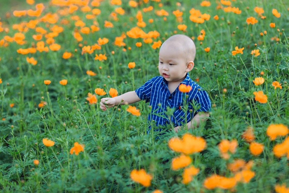 A kid looks excited standing in the middle of the flower garden 