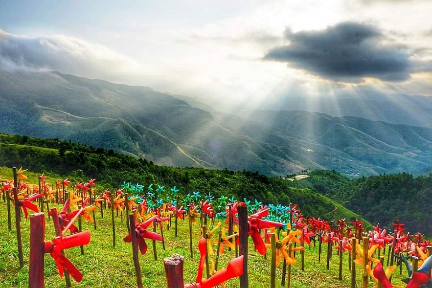 Those thousands of pinwheels will make your day