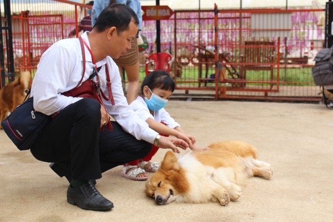 A little girl playing with a dog at Cats and Dogs Clubhouses