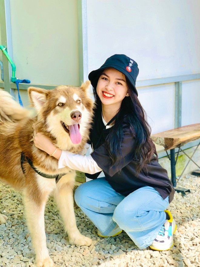 A guest taking photo with on of the dogs in Puppy Farm Cafe