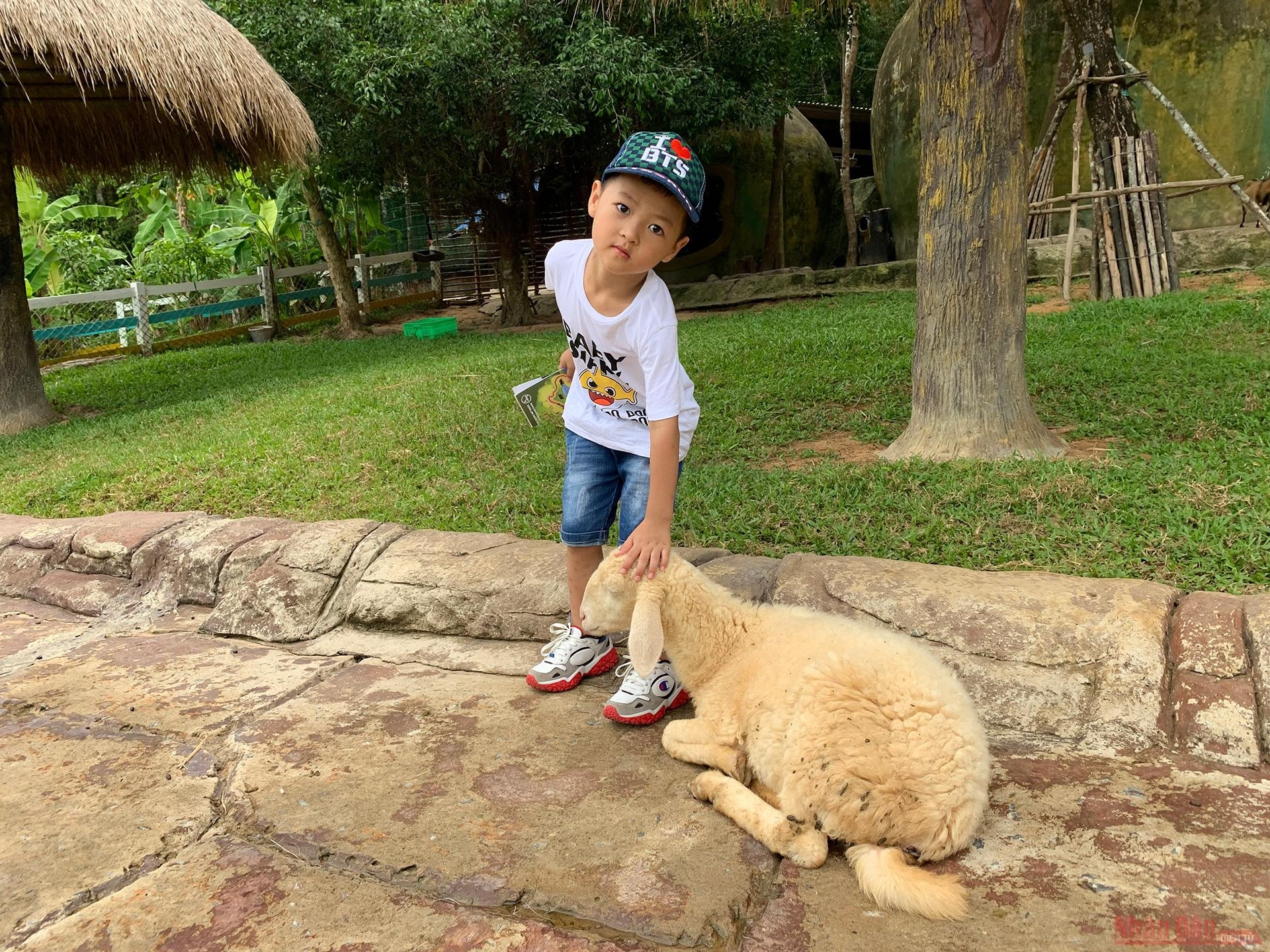 A litlte boy playing with a sheep 