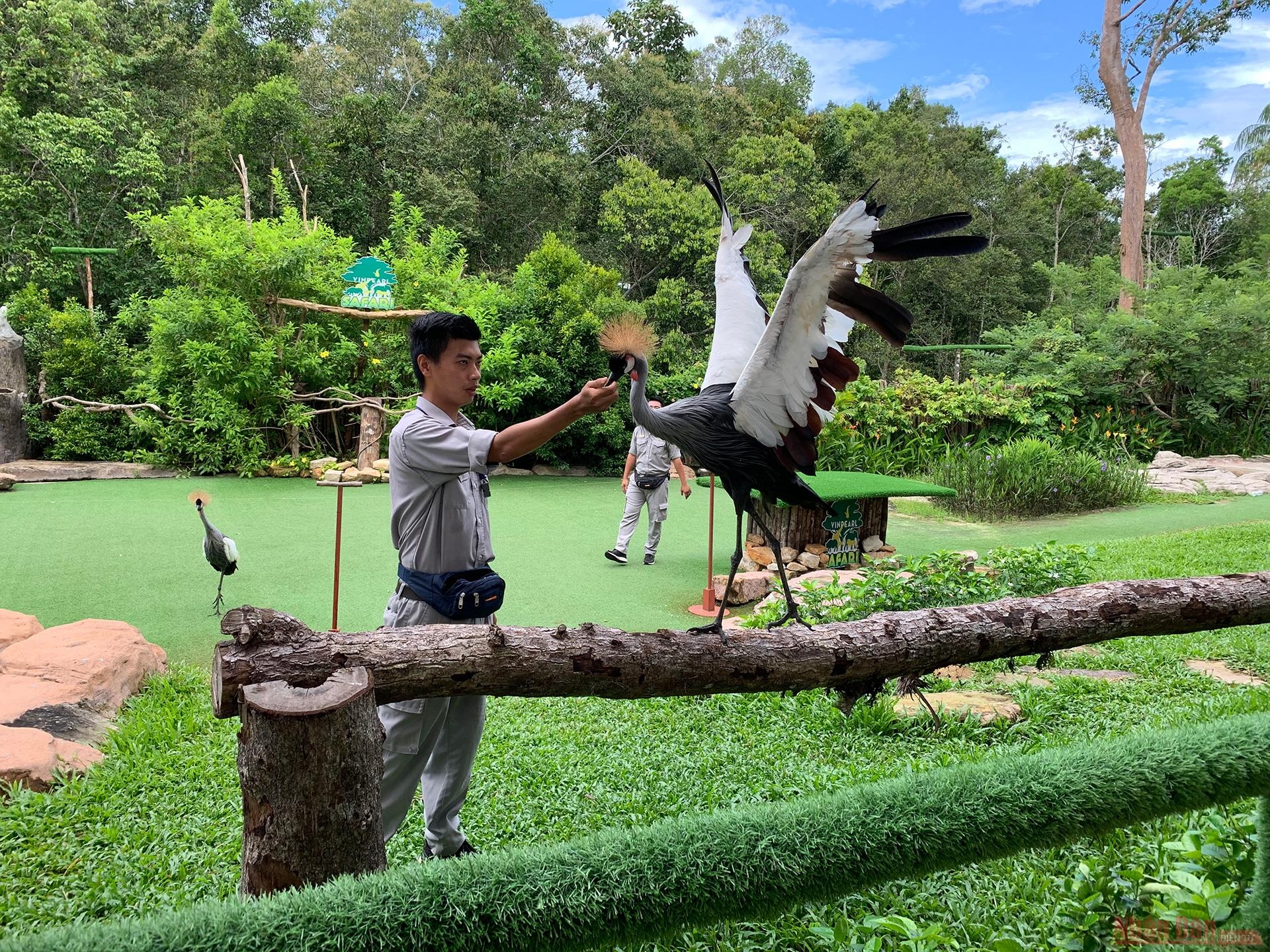 A performer put on a live performance with a bird 