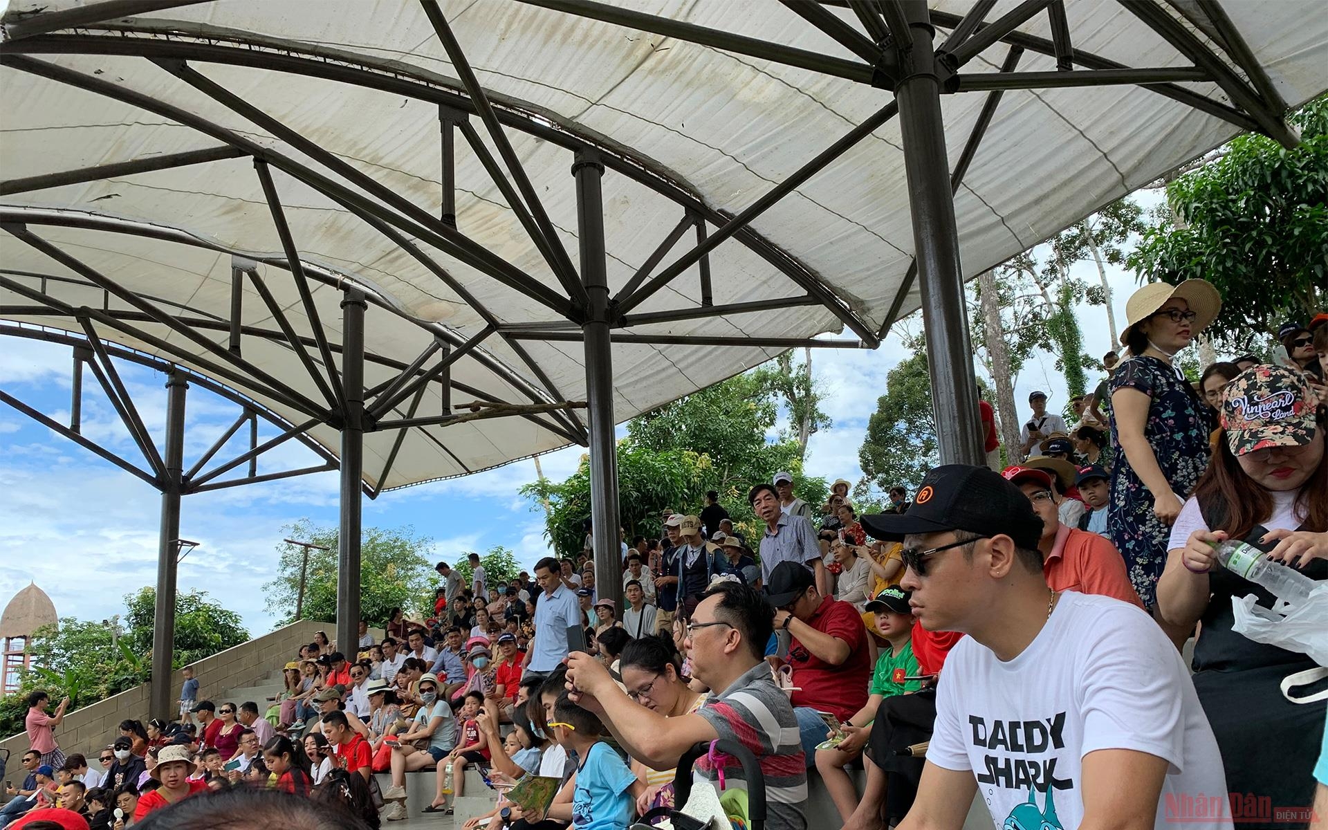 Visitors fill the seating area to watch the bird performance