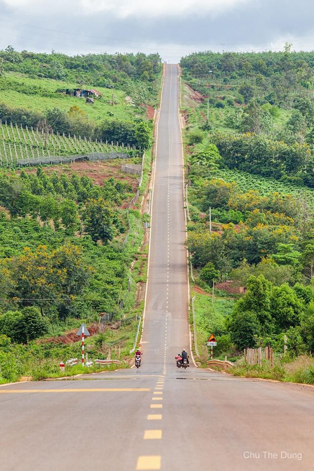 On both sides of the road are green trees