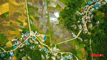 vietnam top destination moc chau rice paddy fields glitters in watery season