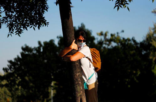 A female tree-hugger in Jerusalem 