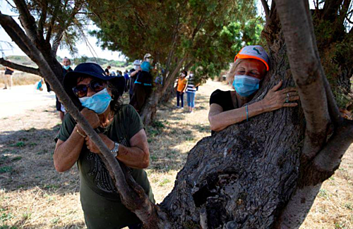 israeli urged to hug trees to beat the coronavirus blues