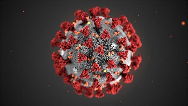 Coronavirus in study: discovered 6 different severe levels of the killer-virus