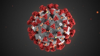 coronavirus in study discovered 6 different severe levels of the killer virus