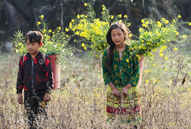 Innocent beauty of minority ethnic children in Northern Vietnam