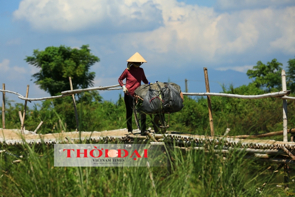 A Wooden Relic: Stepping onto Central Quang Nam's Bamboo Bridge