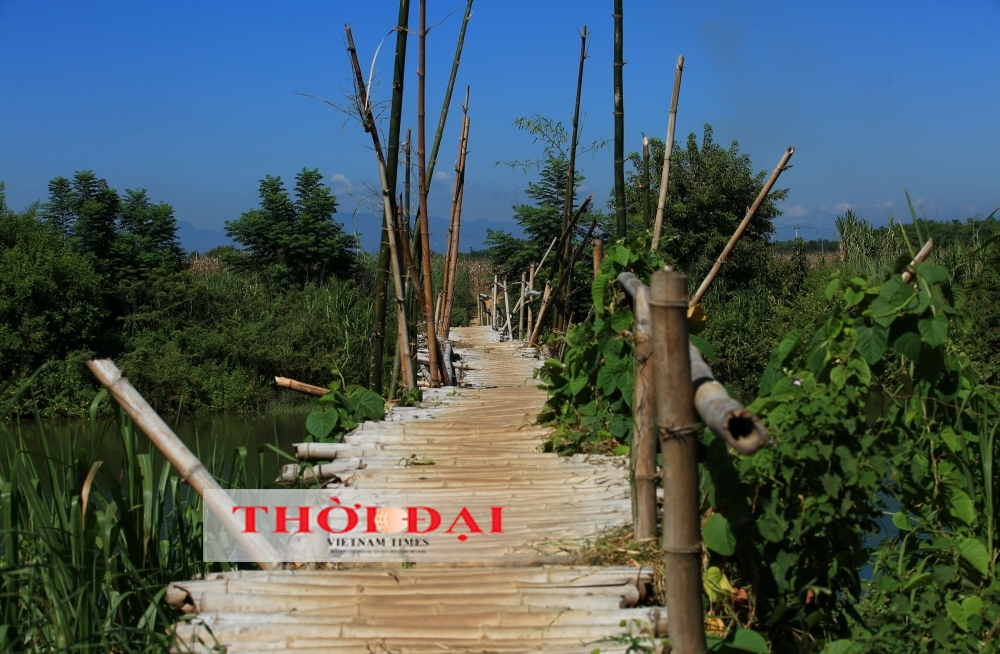 A Wooden Relic: Stepping onto Central Quang Nam's Bamboo Bridge