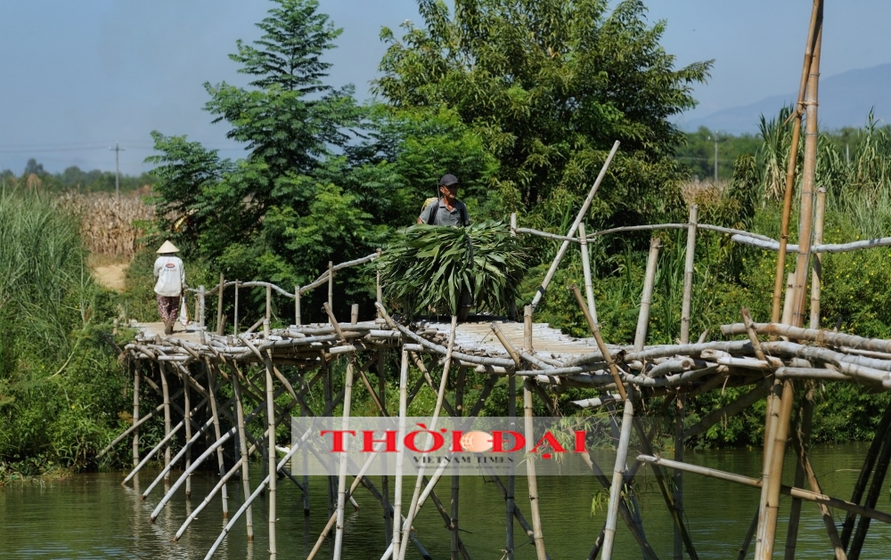 A Wooden Relic: Stepping onto Central Quang Nam's Bamboo Bridge