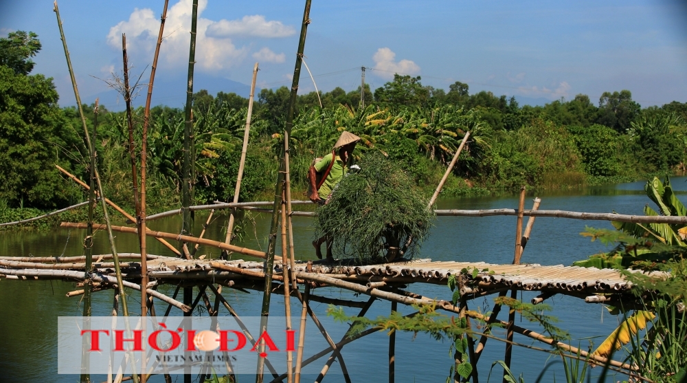 A Wooden Relic: Stepping onto Central Quang Nam's Bamboo Bridge