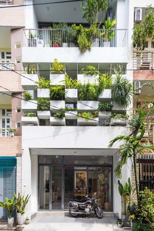 Stylish 'vertical garden' shields west-facing house from baking sun