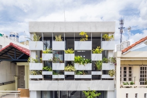 Stylish 'vertical garden' shields west-facing house from baking sun