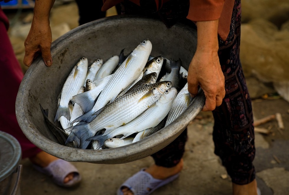 Chuon Swamp, paradise of natural landscapes and mouth-watering cuisine