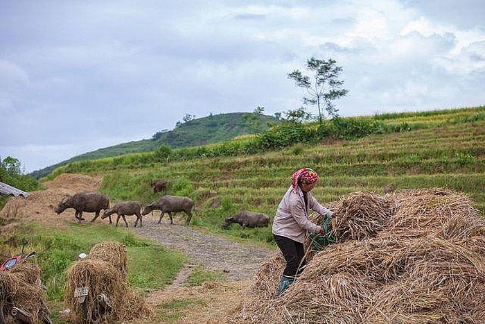 top vietnam destinations year round magical beauty of y ty the northern highland