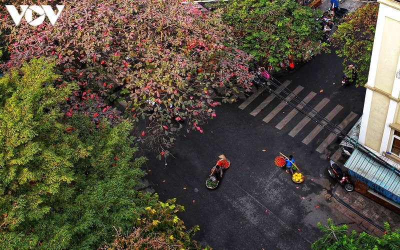 Street vendors, an enduring cultural beauty of Hanoi