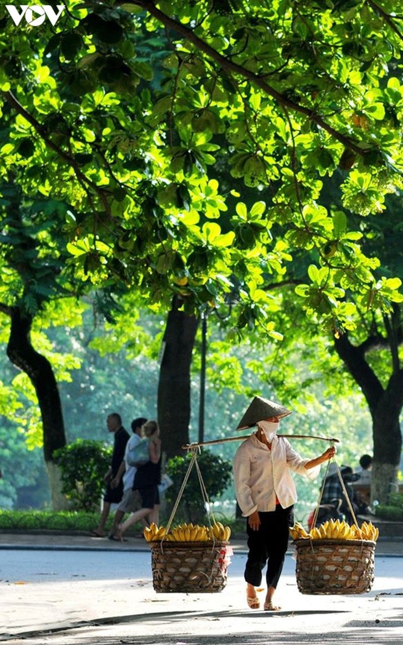 street vendors an enduring cultural beauty of hanoi