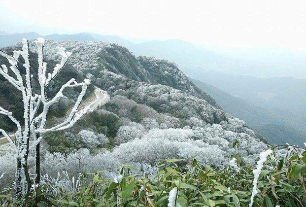 Cao Bang Province, the Only Coronavirus-free Place in Vietnam