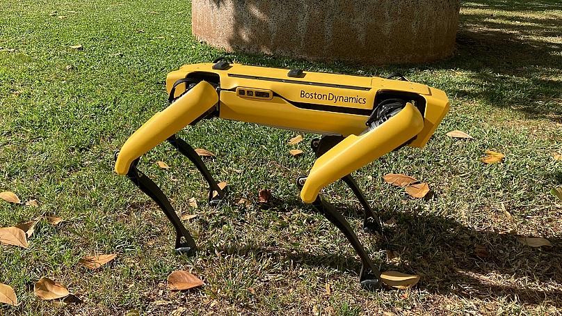 dog like robot sparks debate in the us