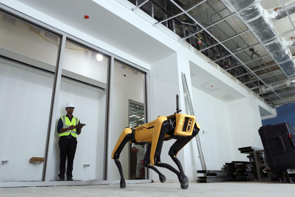 Dog-like Robot Sparks Debate in the US