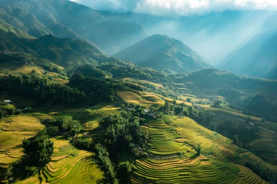 a quiet sapa in ripening rice season