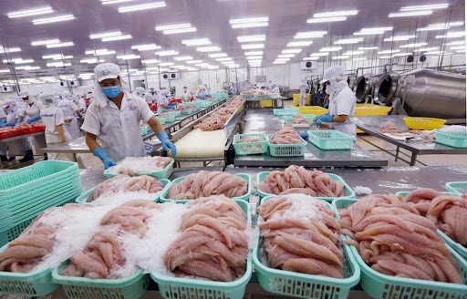 China Cuts Seafood Imports from Vietnam Over Covid Fears