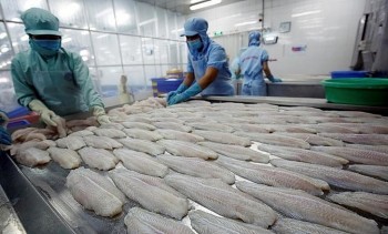 China Cuts Seafood Imports from Vietnam Over Covid Fears