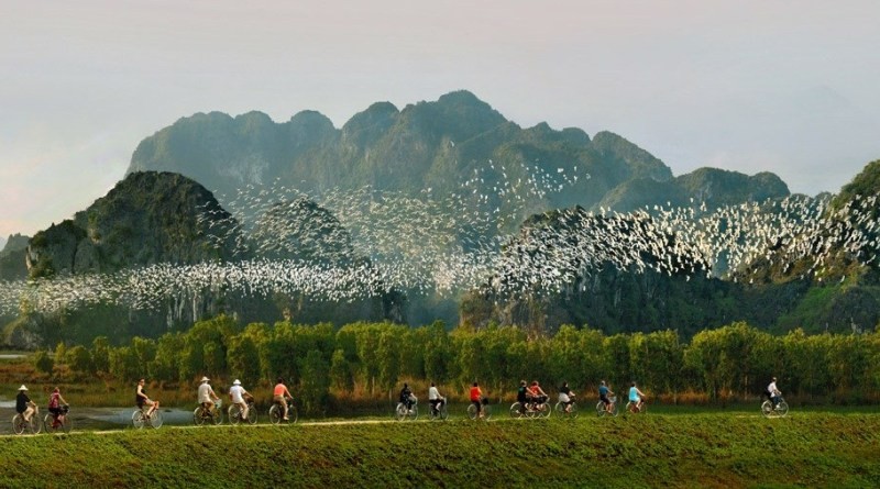 discover the attractiveness of thung nham bird garden