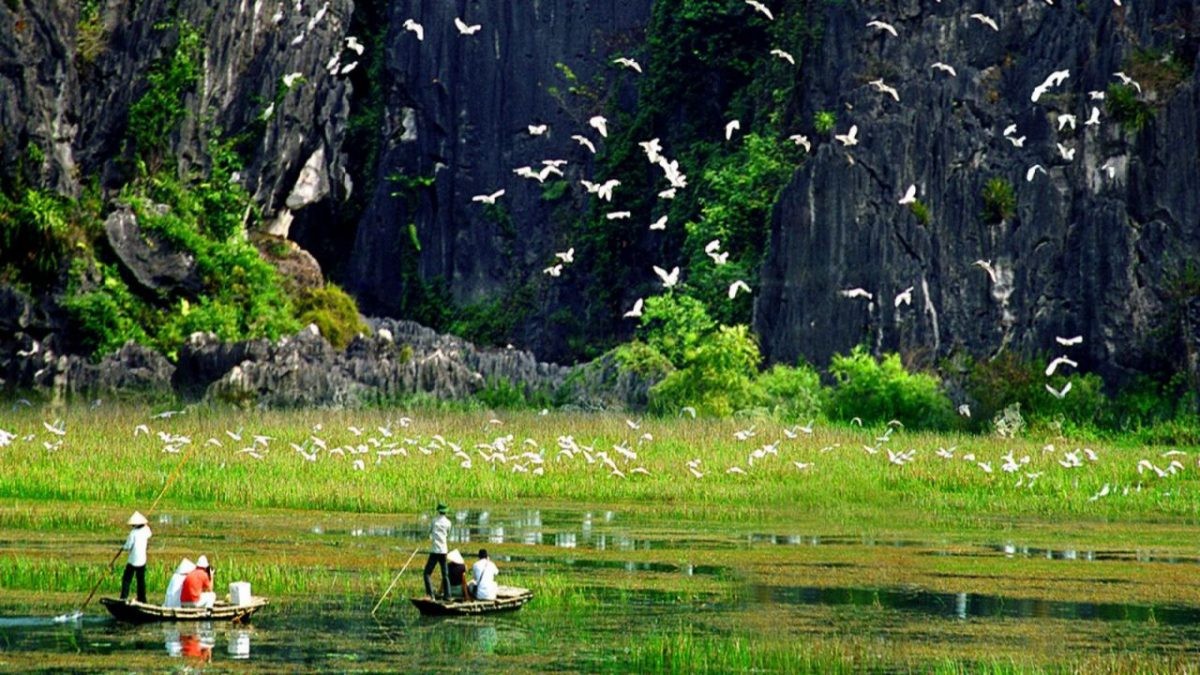 Discover the Attractiveness of Thung Nham Bird Garden