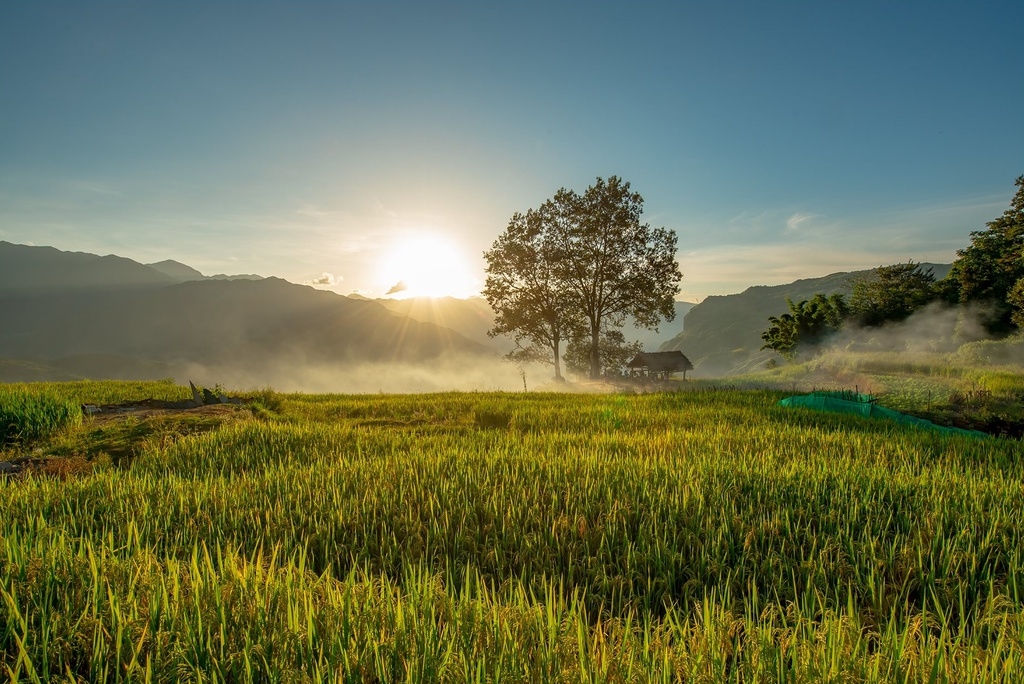 7 ideal choices for admiring ripening rice fields in northern Vietnam